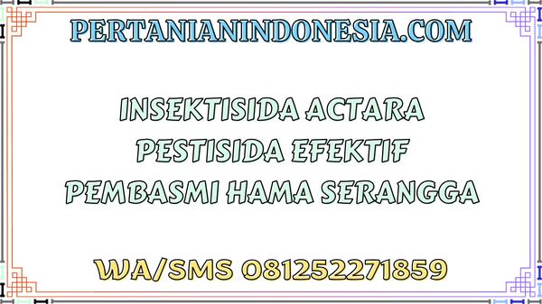 Insektisida Actara Pestisida Efektif Pembasmi Hama Serangga